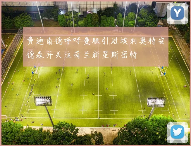 费迪南德呼吁曼联引进埃利奥特安德森并关注荷兰新星斯密特