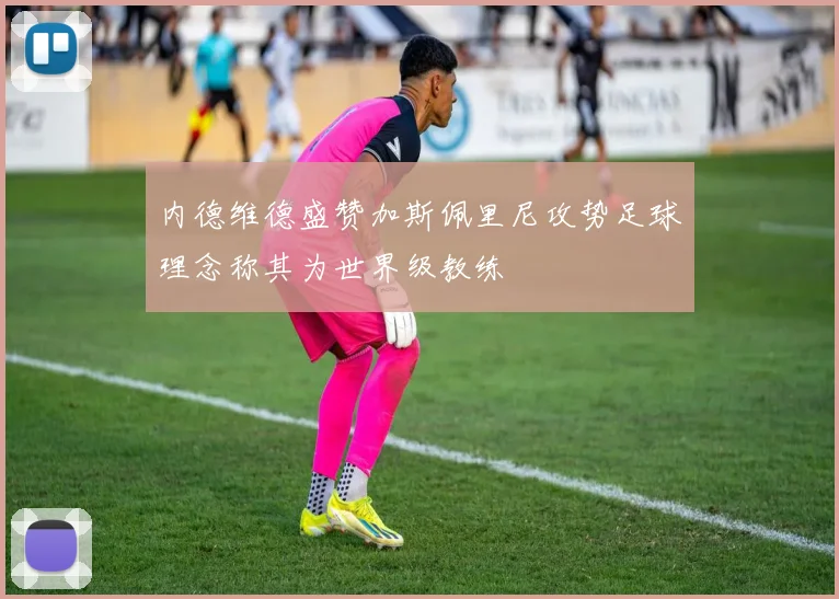 内德维德盛赞加斯佩里尼攻势足球理念称其为世界级教练