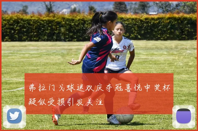 弗拉门戈球迷欢庆夺冠喜悦中奖杯疑似受损引发关注