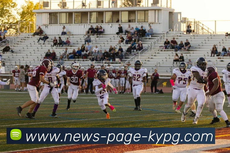 数据防护可视化